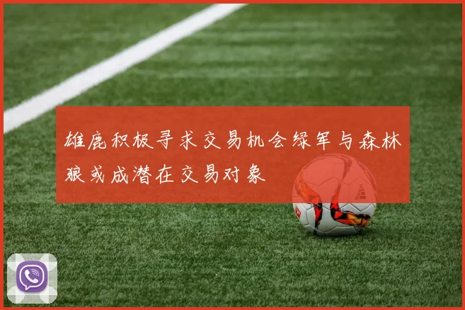 雄鹿积极寻求交易机会绿军与森林狼或成潜在交易对象